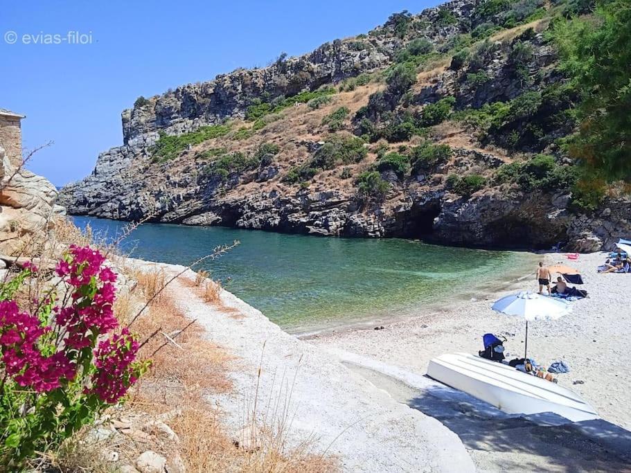 Villa Παραθαλασσιο Σπιτι Στην Εξοχη Tsakei Esterno foto