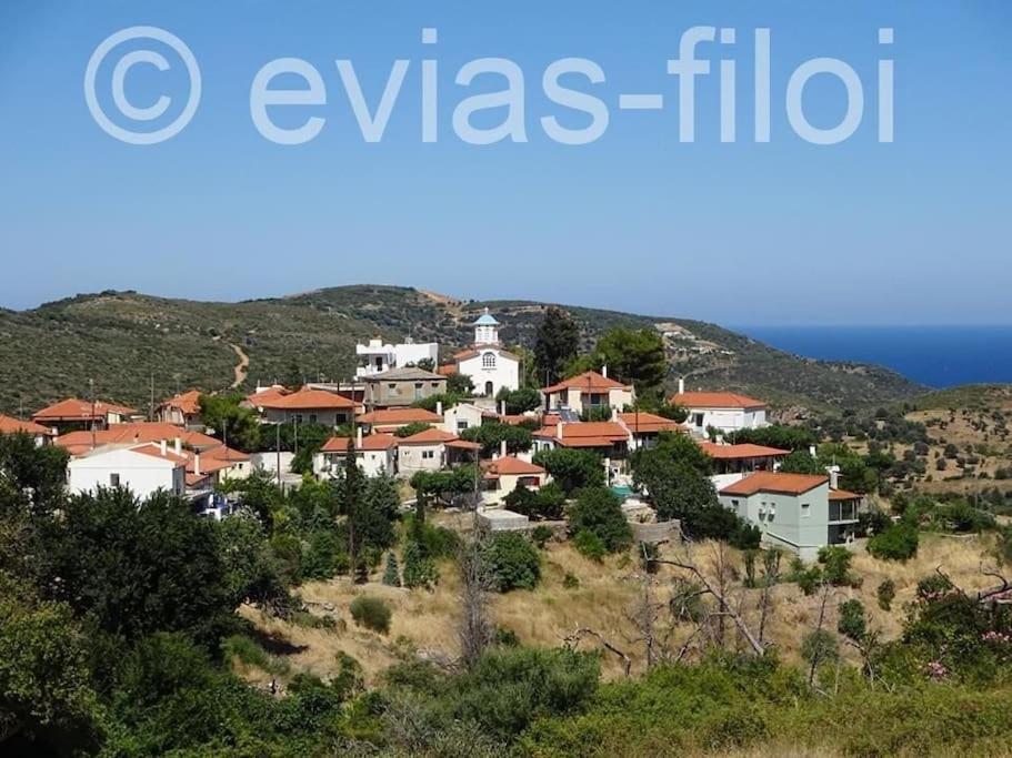 Villa Παραθαλασσιο Σπιτι Στην Εξοχη Tsakei Esterno foto