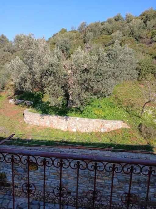 Villa Παραθαλασσιο Σπιτι Στην Εξοχη Tsakei Esterno foto
