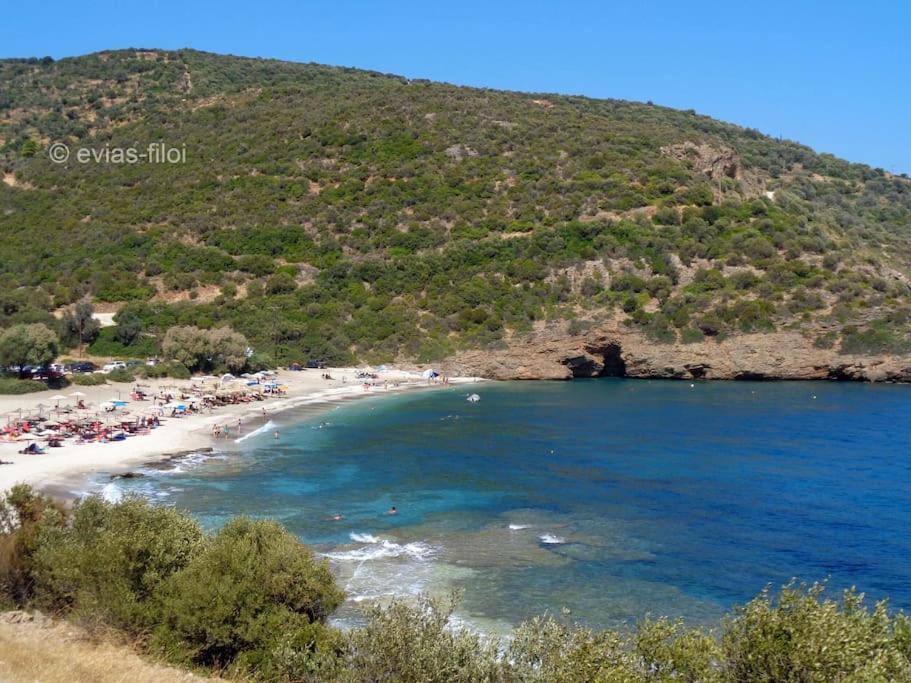 Villa Παραθαλασσιο Σπιτι Στην Εξοχη Tsakei Esterno foto